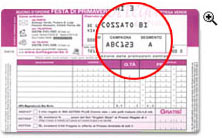 anteprima codice catalogo