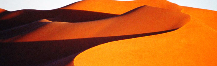 scopri la linea